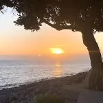 Ribeira House- Ideal For Relax & Remote Work *
