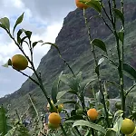Ribeira House- Ideal For Relax & Remote Work * بول دو مار
