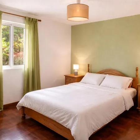 Ribeira House- Ideal For Relax & Remote Work Holiday home