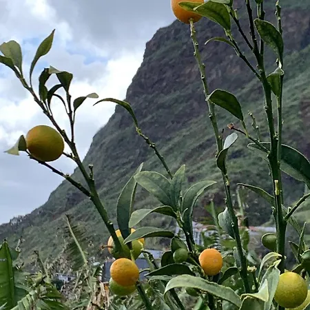Ribeira House- Ideal For Relax & Remote Work * Paul do Mar (Madeira)