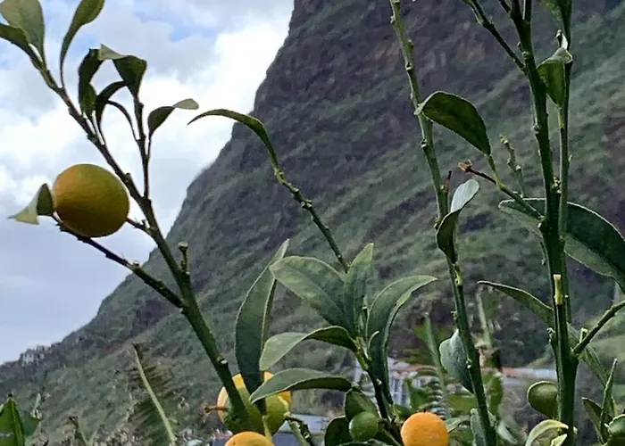 Ribeira House- Ideal For Relax & Remote Work * Paul do Mar (Madeira)